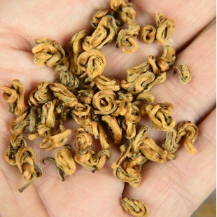 Yunnan golden snail black Tea Bi Luo Chun,Dian Hong JinSi Snail tea