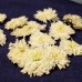 Best White Chrysanthemum Tea,Bai Ju Hua Cha，Florists chrysanthemum tea