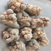 Authentic YunNan WenShan Dried Tian Qi Tienchi Sanqi Notoginseng Root 40' 田七