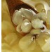 China Wild gleditsia beans Natural Honeylocust fruit Herb Zao Jiao Mi Jelly